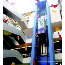 Стеклянный панорамный лифт для продажи